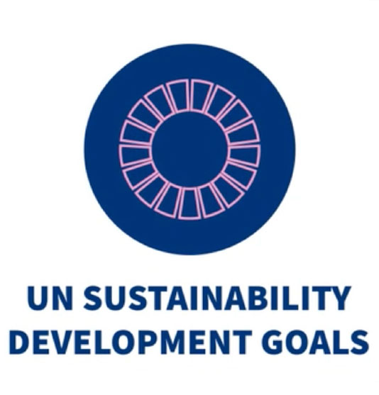 UN sustainability development goals icon