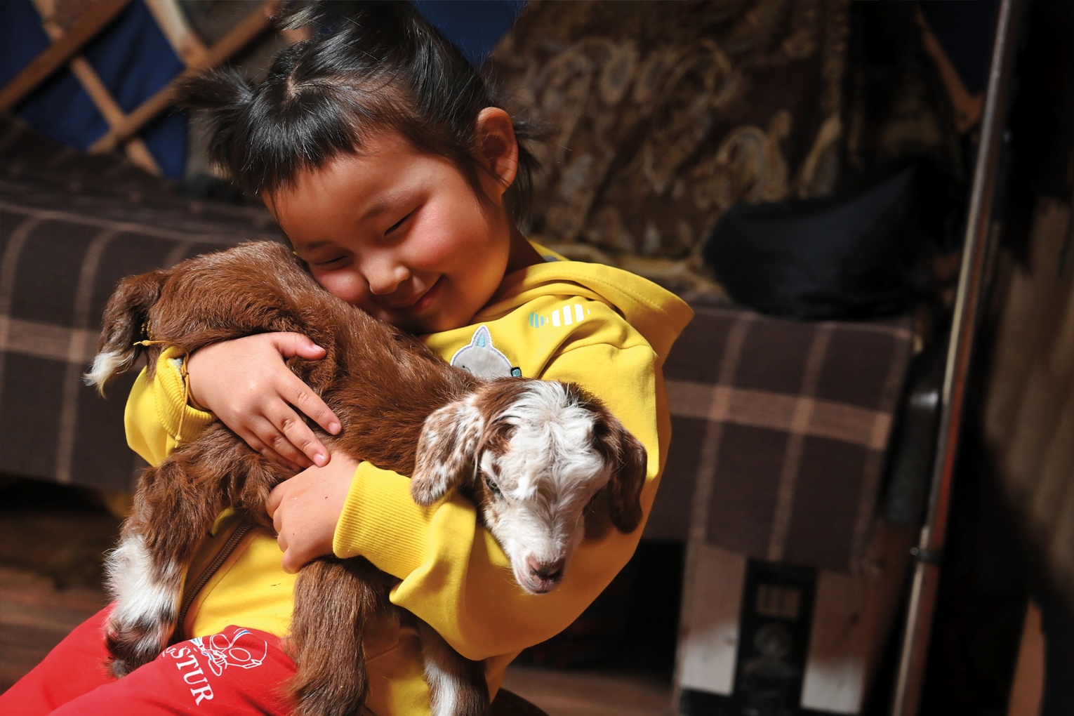 Happy Mongolian girl with goat in yellow jacket